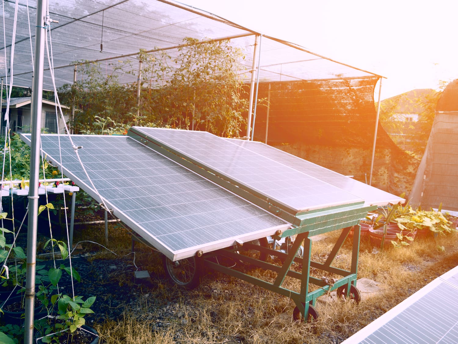Solarzellen für die Landwirtschaft. Anlagen- und Kraftwerkskonzept. Geschäfts- und Industriekonzept.